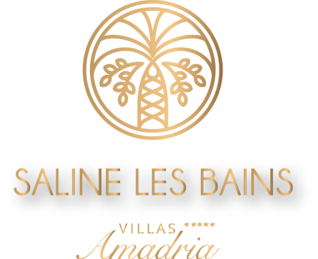 Villa Amadria SALINE LES BAINS, Location saisonnière 5 étoiles - ile de la Réunion